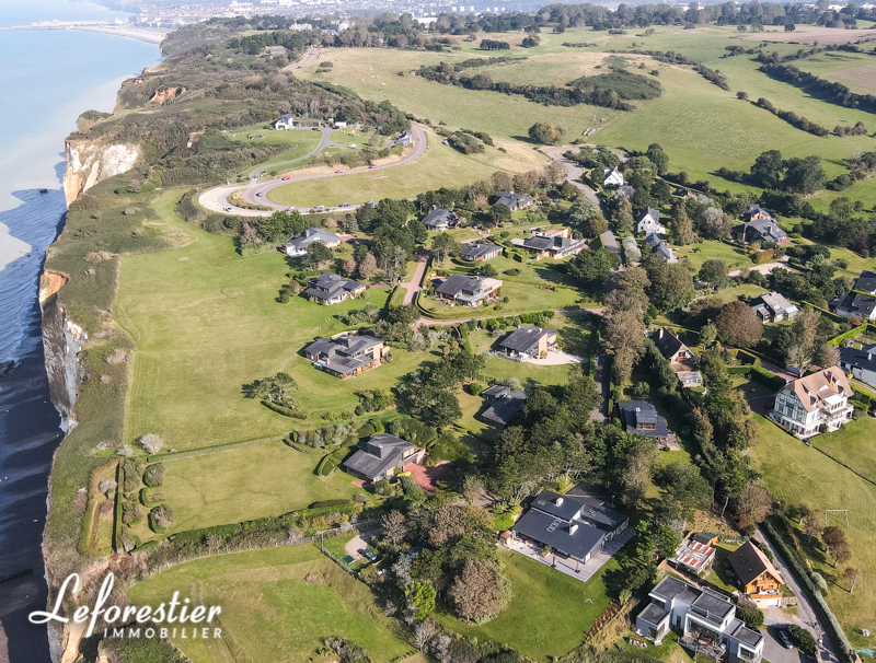 Vue drone Ilot Marchand Pourville