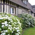 Maison de campagne avec jardin paysager sur l'axe Rouen Neufchâtel