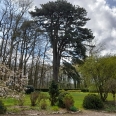 Maison de caractère et dépendances à vendre dans beau parc boisé 