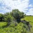 Grande maison normande du Pays de Bray avec prairies et dépendances