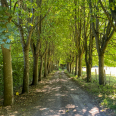 Manoir Napoléon III – Parc avec arbres séculaires – Prairies & dépendances