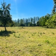 Manoir Napoléon III – Parc avec arbres séculaires – Prairies & dépendances