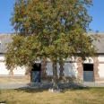 Ancien corps de ferme à vendre à 25 minutes de Dieppe