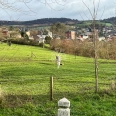 Propriété de caractère à vendre au cœur du Pays de Bray