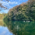 Manoir anglo-normand à vendre avec maison d’amis, 7ha de parc. Bord de mer - Dieppe