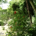 Maison de maître à acheter dans village du Pays de Bray 4830