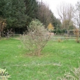 A vendre maison bois de cèdre et dépendance dans beau jardin Auffay 76