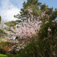 Jardin paysager en haute Normandie