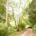 Parc de château à vendre Totes