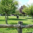 Maison avec écurie et herbages pour chevaux à Saint Saens