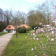 Longère normande Campagne du Pays de Caux 4668