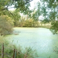 Ancien Prieuré bord de rivière à vendre Chapelle et dépendances complète de domaine près de Eu Le Tréport 4896