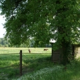 Haras très bien équipé sur près de 19ha de prairies, paddocks et pistes d'entraînement 4914