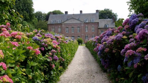 Castle In Normandy To Buy With Reception Room And Gites Near Dieppe