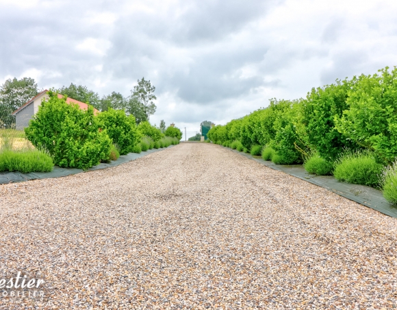 Maison contemporaine à vendre proche de Tôtes avec 1ha de terrain