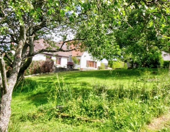 Maison de village à vendre sur grand terrain arboré