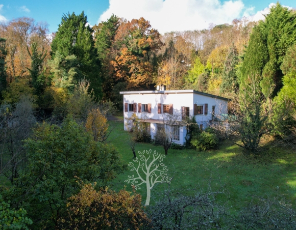 Maison de maçon à vendre à Pourville avec 3ha de bois