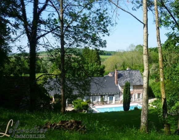 Maisons A Vendre Avec Piscine Leforestier Immobilier