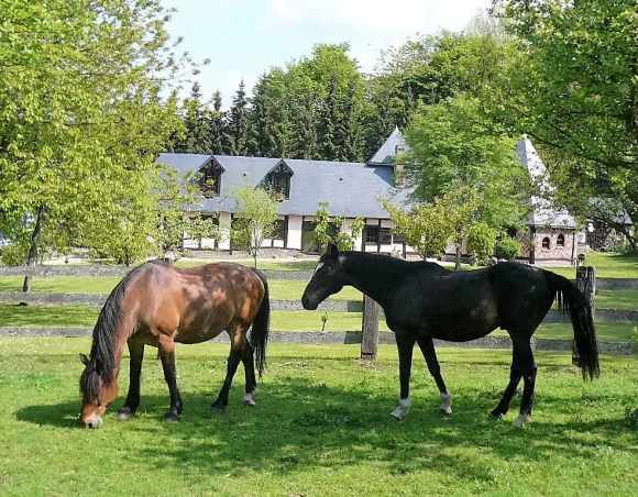 VENDU Propriété équestre en vente Fermette de la campagne du Pays de Bray