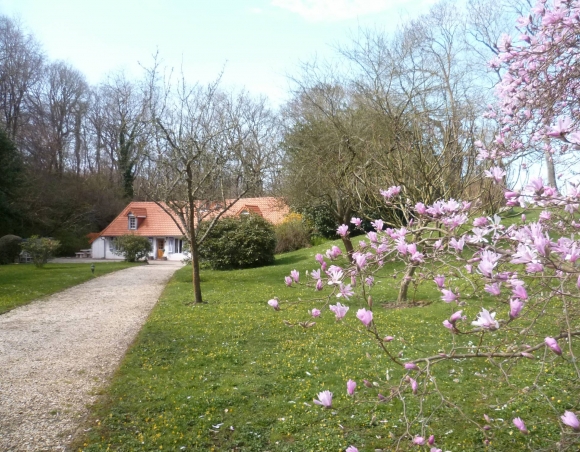 Longère normande Campagne du Pays de Caux 4668