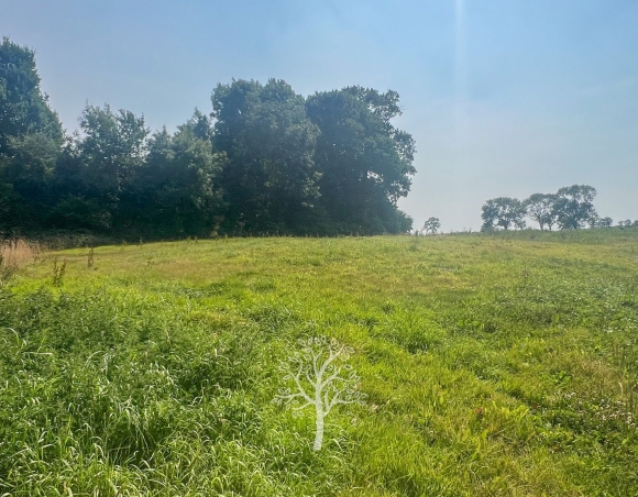 Un emplacement privilégié à proximité de Veules-les-Roses