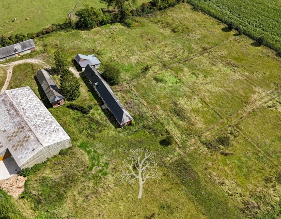 Propriété équestre à vendre en Normandie – Pays de Bray