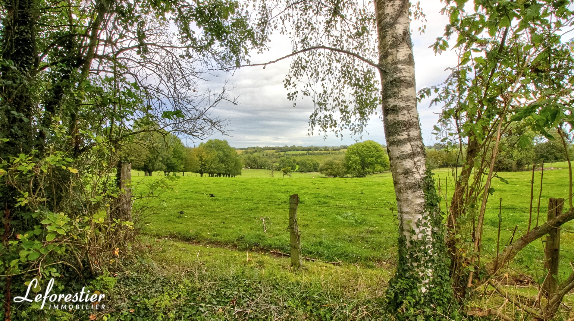 Charmante maison de campagne à vendre en Normandie entre Forges les Eaux et Gaillefontaine