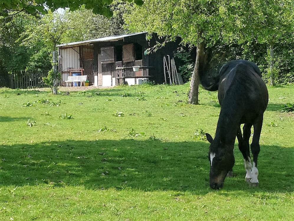 VENDU Propriété équestre en vente Fermette de la campagne du Pays de Bray