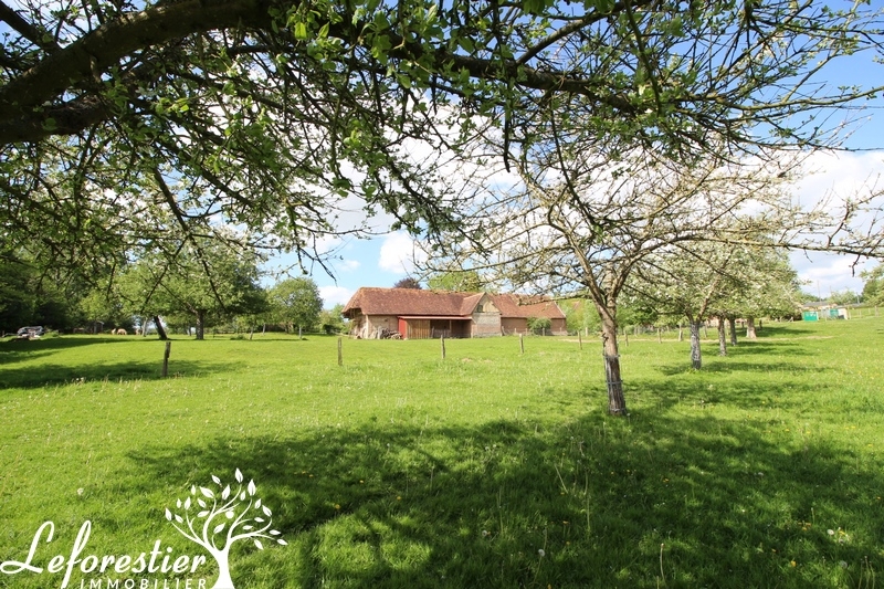 Demeure de caractère à vendre en Normandie - Neufchâtel en Bray